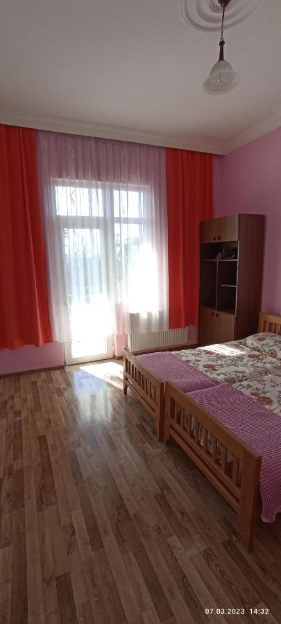 Olesya Guesthouse ムツヴァネ・コンスキ エクステリア 写真