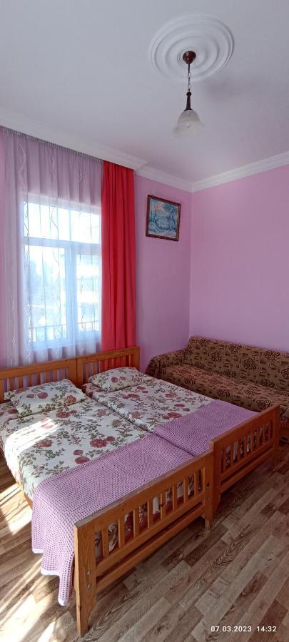 Olesya Guesthouse ムツヴァネ・コンスキ エクステリア 写真