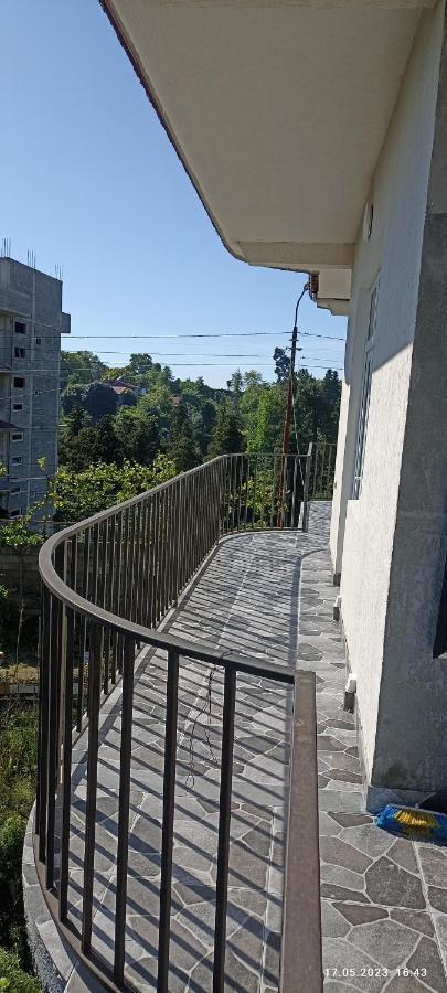 Olesya Guesthouse ムツヴァネ・コンスキ エクステリア 写真