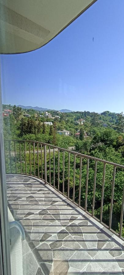 Olesya Guesthouse ムツヴァネ・コンスキ エクステリア 写真
